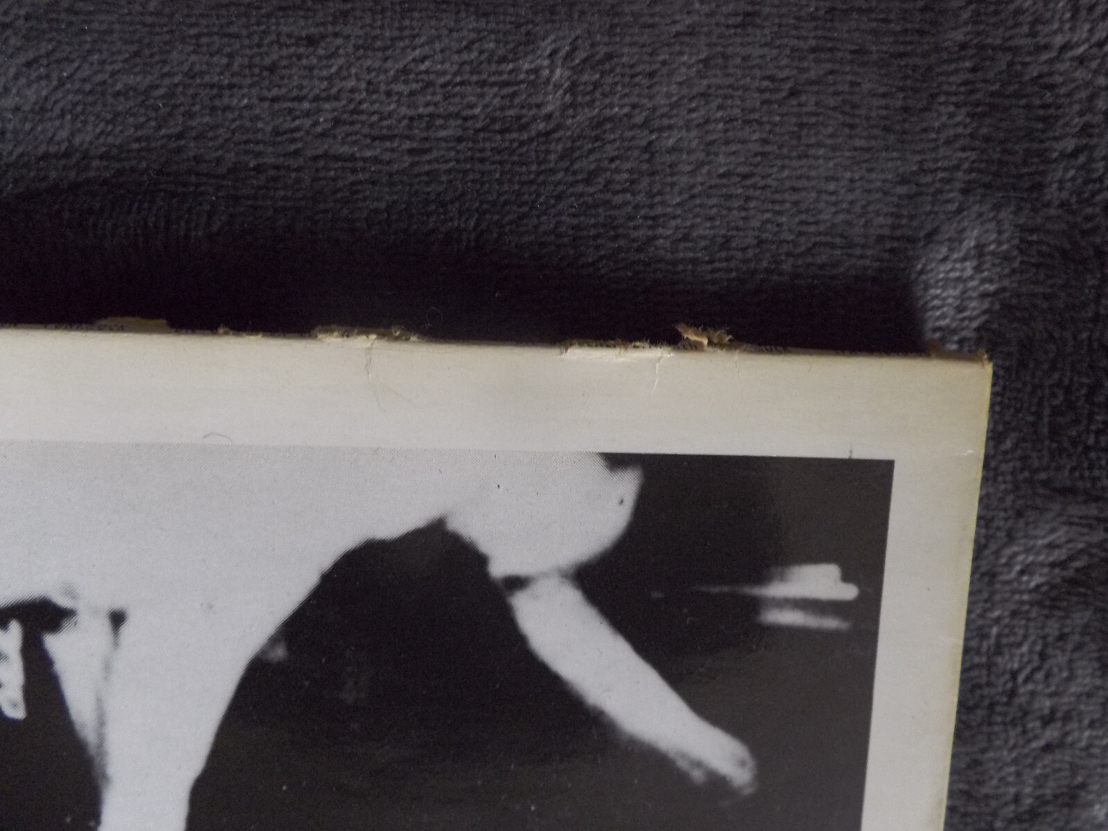 Die Goldenen Zitronen – Punkrock (LP, Vielklang, 1991), Bild 3