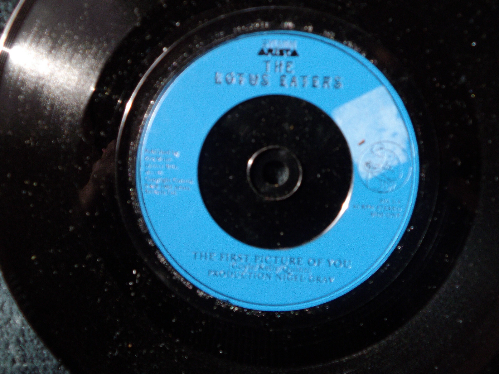 The Lotus Eaters – The first picture of you / The lotus eaters | Arista Records, SYL 1