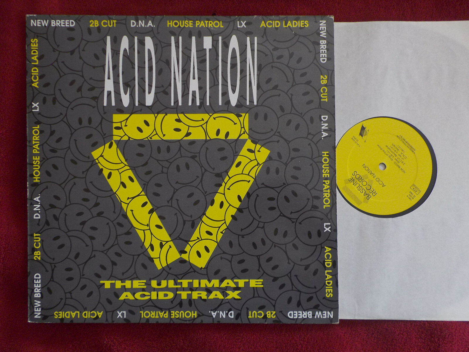 V.A. – Acid Nation: The Ultimate Acid Trax · Mini-LP, Bild 3