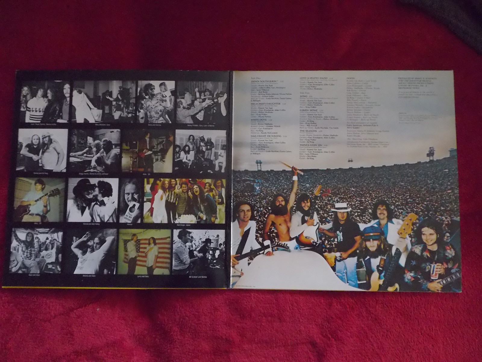 Lynyrd Skynyrd – Skynyrd´s first and..... | MCA Records LP, Bild 2