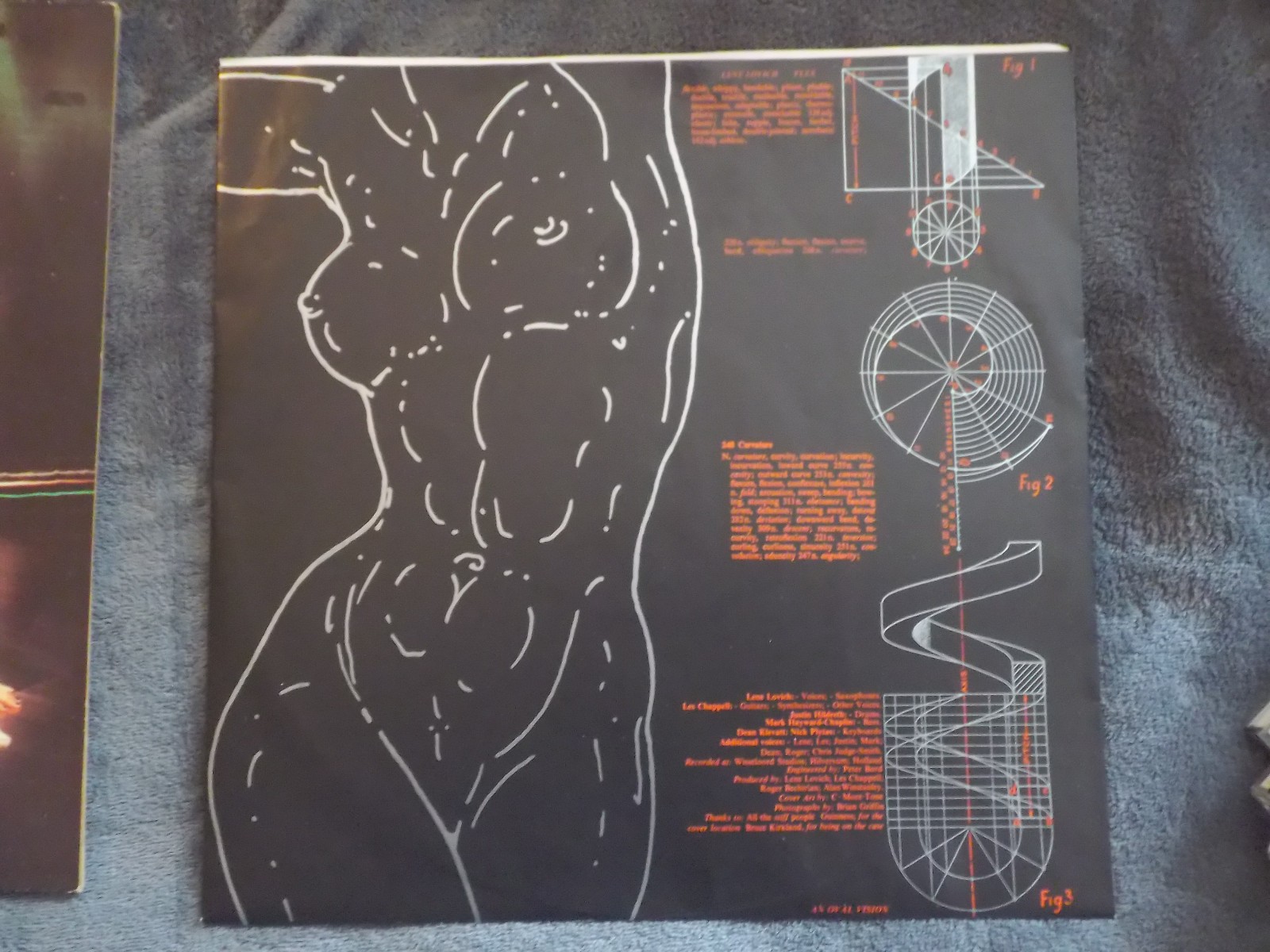 Lene Lovich – Flex | Stiff Records, SEEZ 19, Niederlande 1979, Bild 2