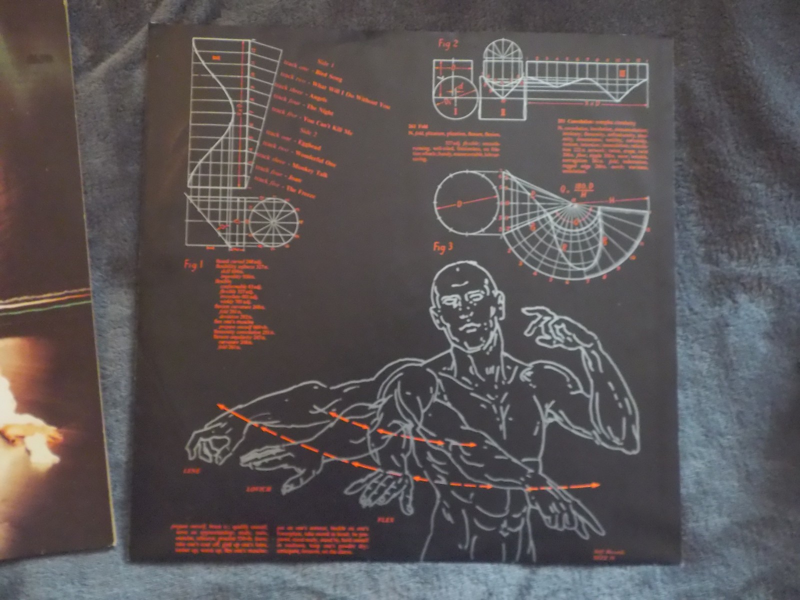 Lene Lovich – Flex | Stiff Records, SEEZ 19, Niederlande 1979, Bild 3