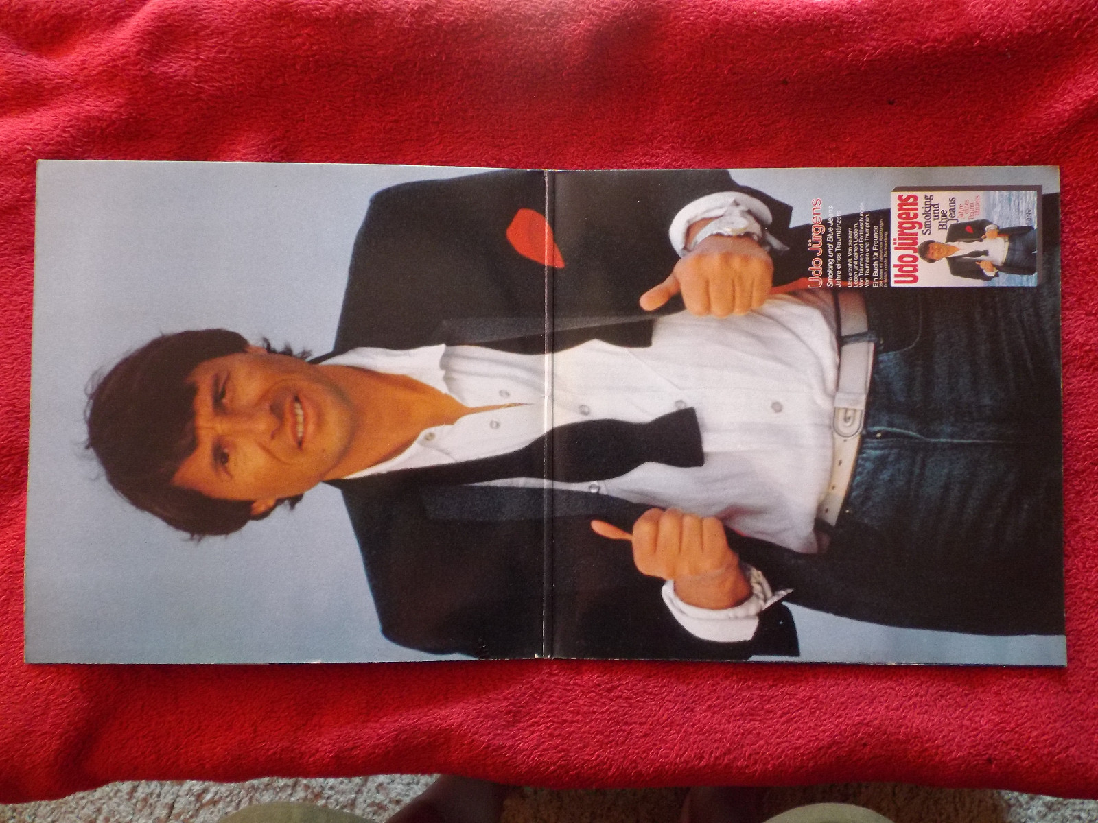 Udo Jürgens – Hautnah | Ariola Records 206 500 | LP, Bild 2