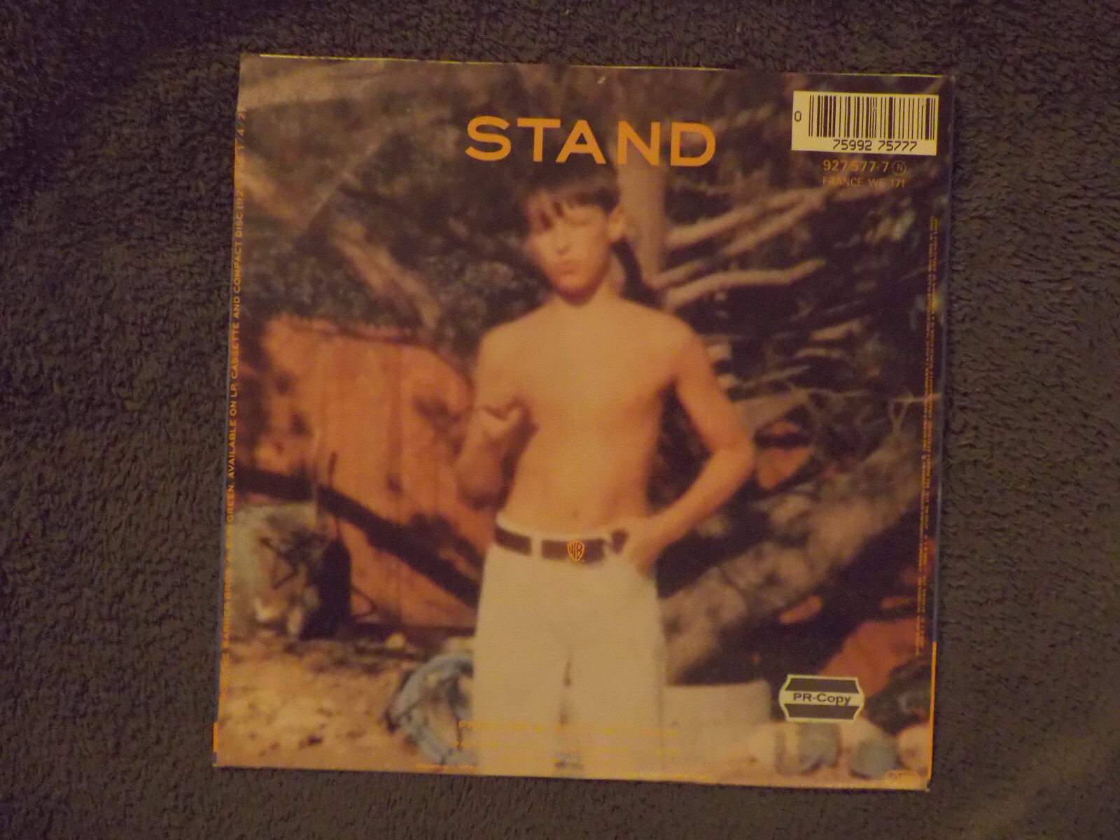R.E.M. – Stand / Memphis train blues | Warner Bros. 45er-Single, Bild 3