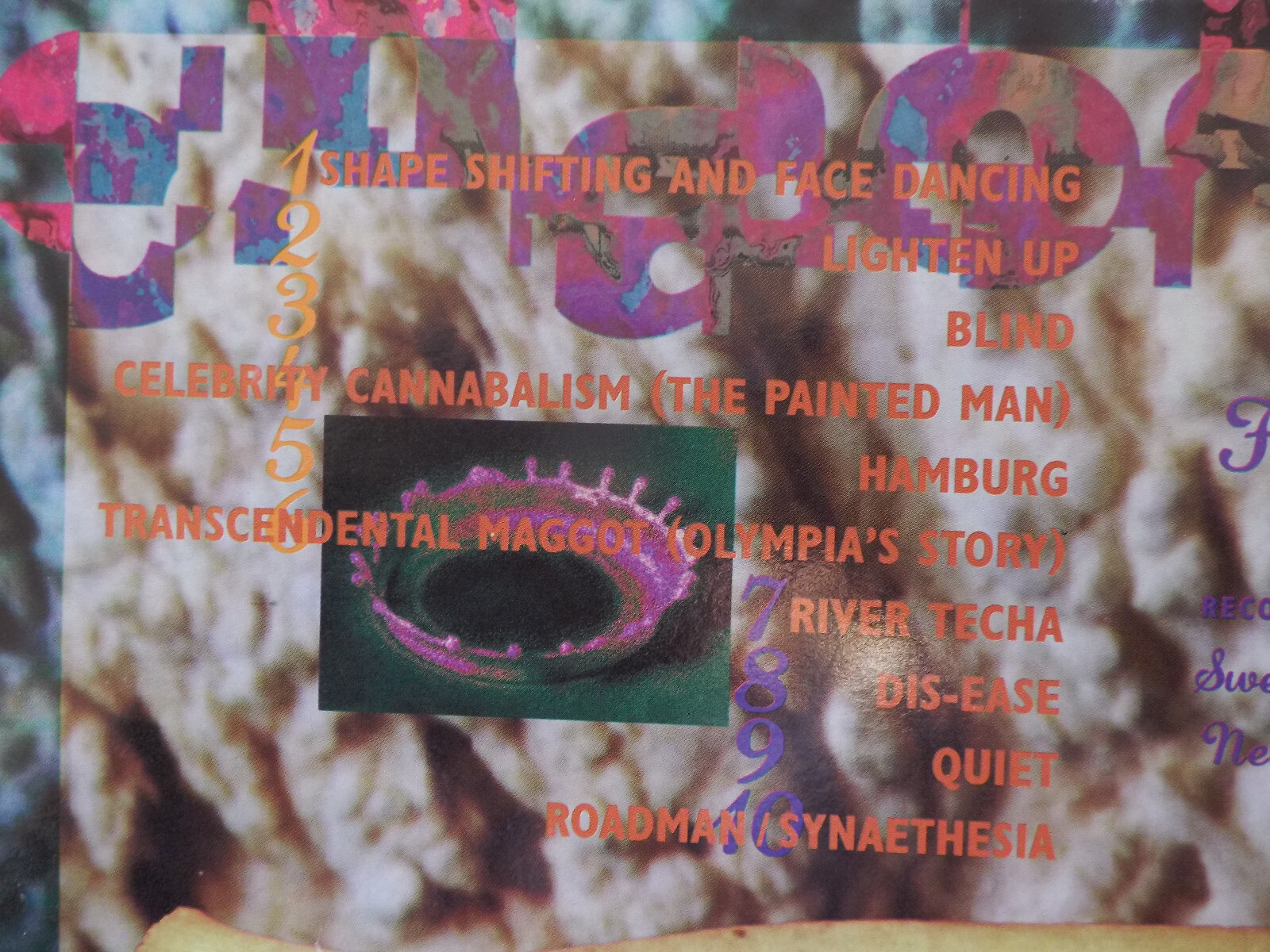 Creaming Jesus – Chaos for the converted (LP, 1994), Bild 3