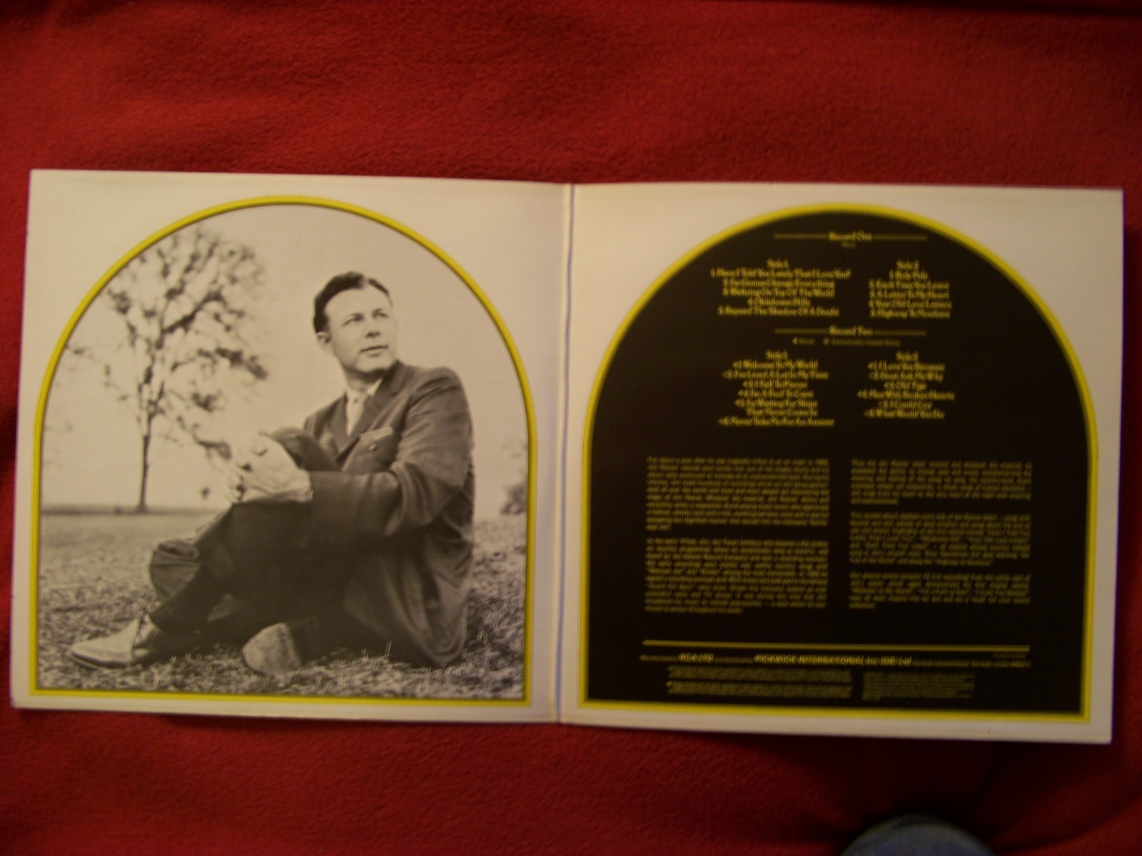 Jim Reeves – The Jim Reeves Collection (Double LP, Camden Records), Bild 2