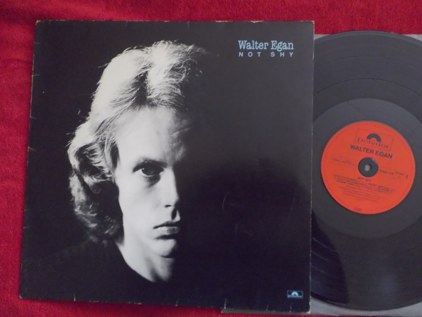 Walter Egan – Not Shy (LP, Polydor Records, 1978)