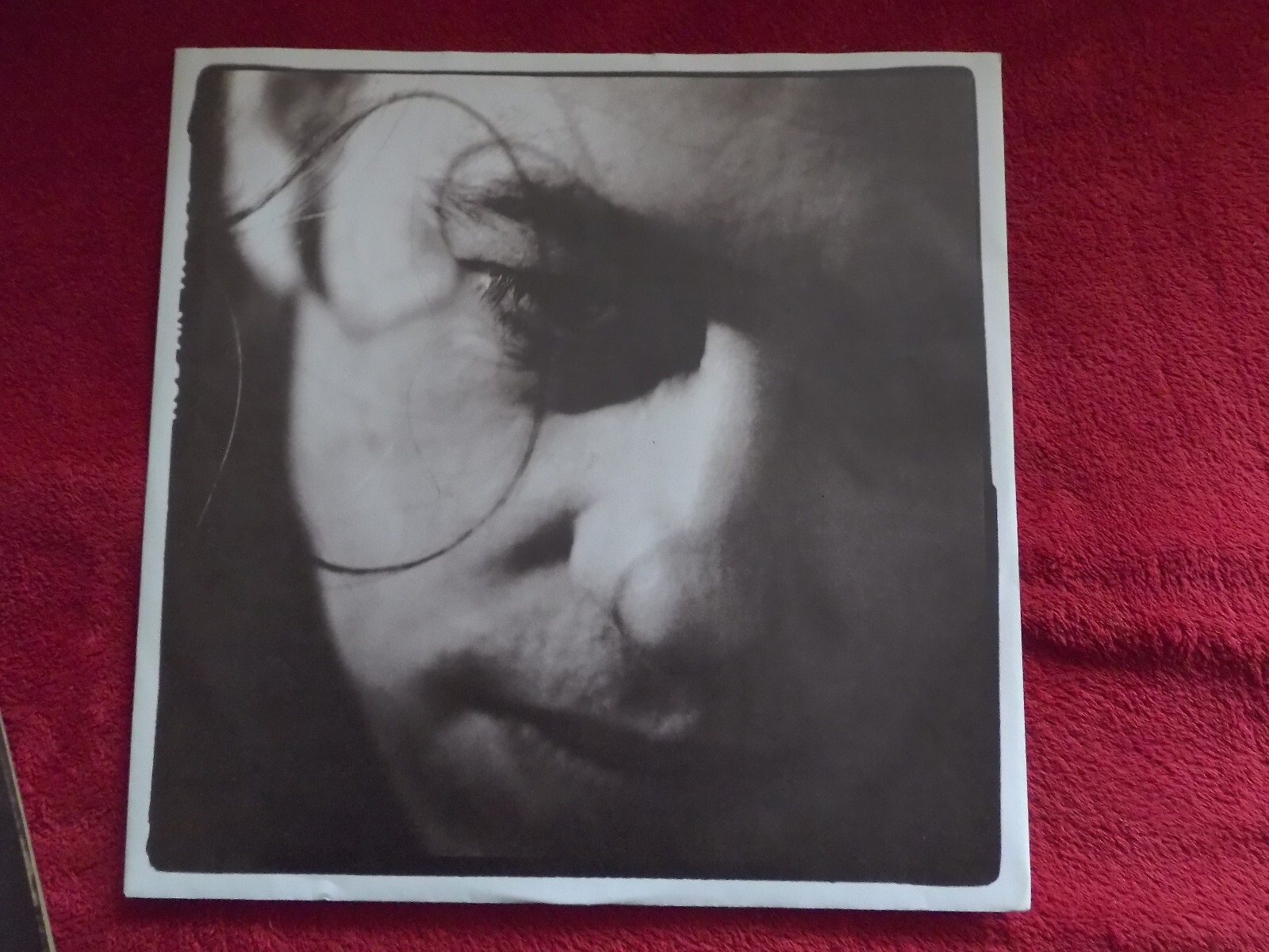 Bob Geldorf – The vegetarians of love (LP, Phonogram Records, 1990), Bild 2