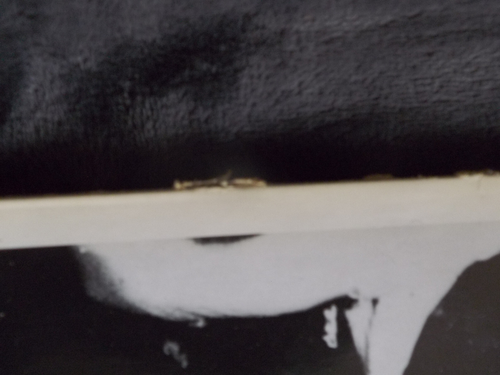 Die Goldenen Zitronen – Punkrock (LP, Vielklang, 1991), Bild 2