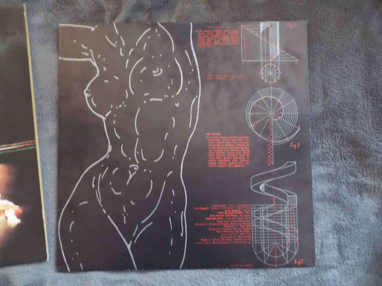 Lene Lovich – Flex | Stiff Records 6.24 228 | LP, Deutschland 1979, Bild 2