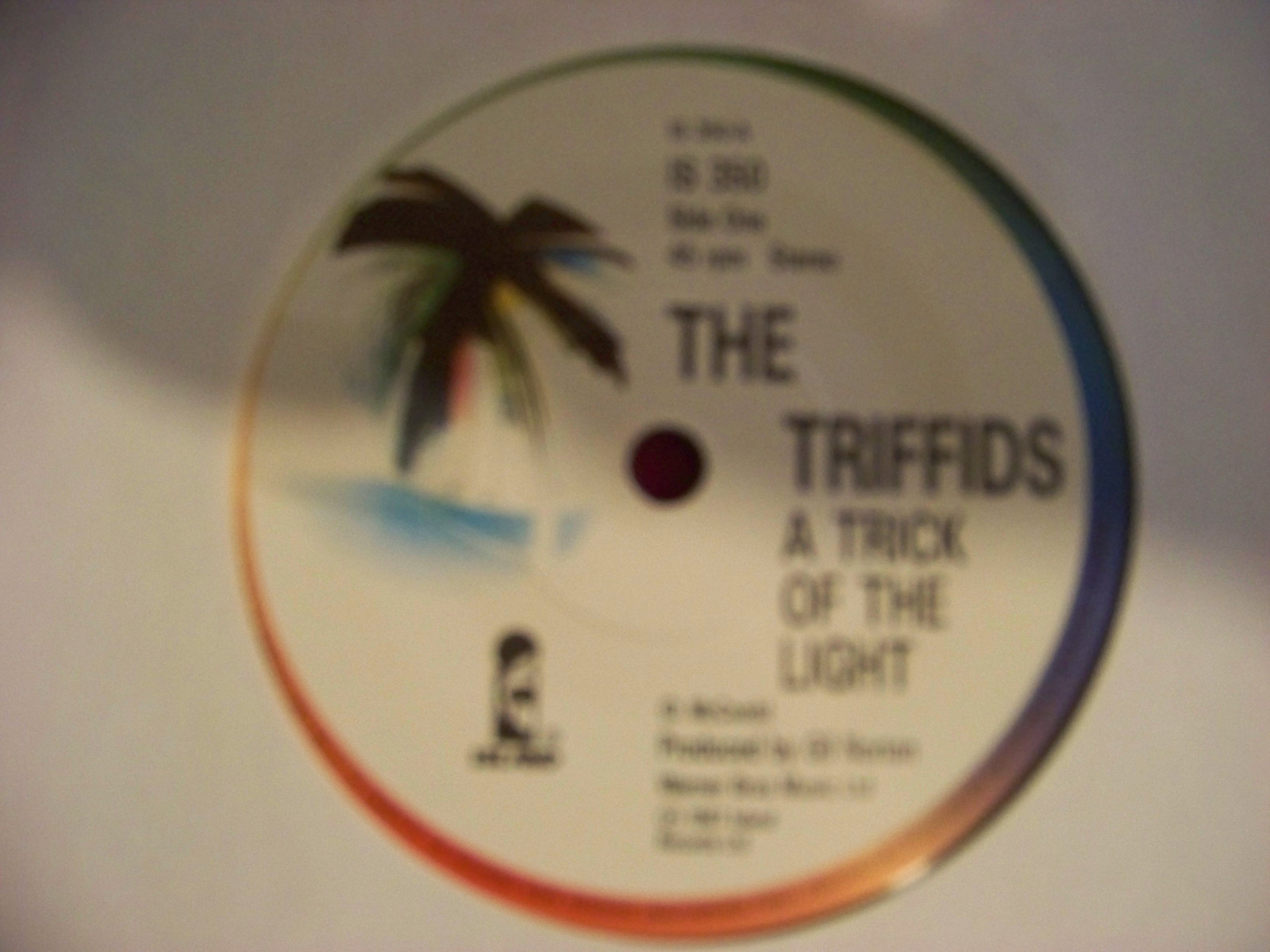 The Triffids – A Trick of the Light / Love the Fever (Island Records, IS 350, 1988)