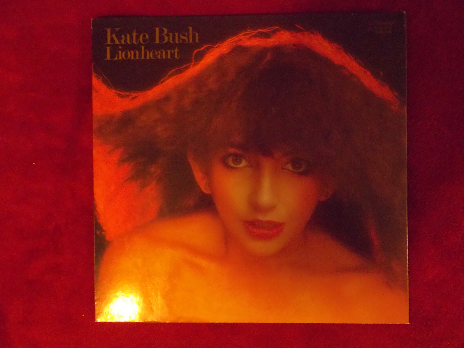 Kate Bush – Lionheart (LP, Deutschland 1978), Bild 4