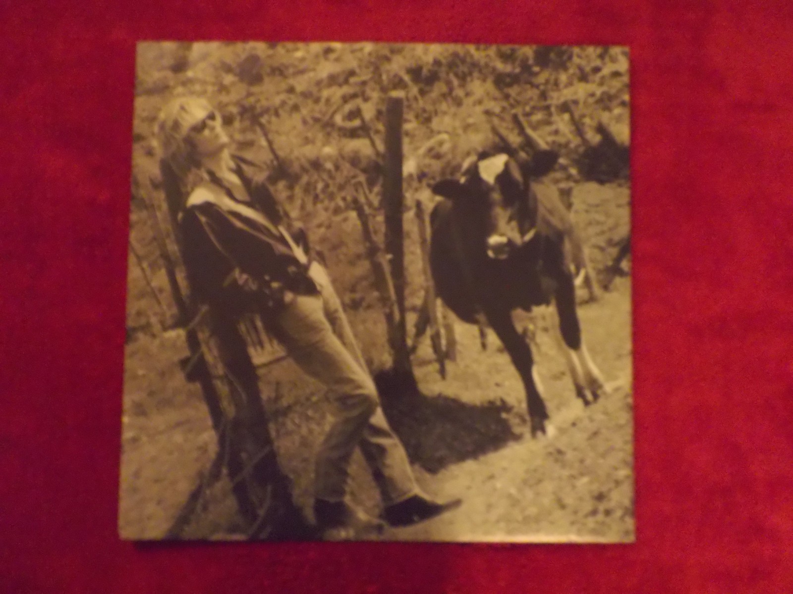 Daryl Hall – Three Hearts in the Happy Ending Machine (LP, RCA Records, 1986), Bild 2