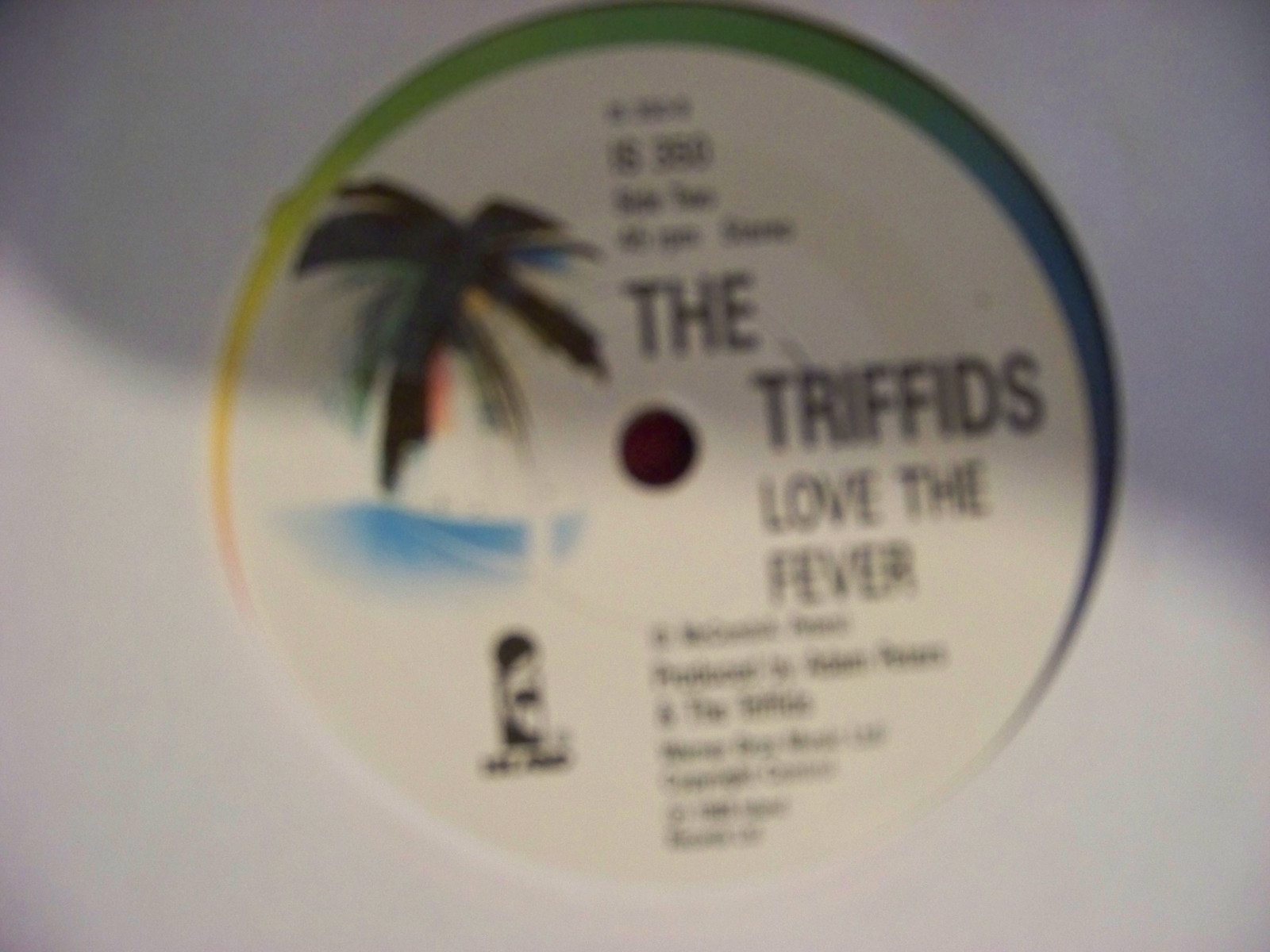 The Triffids – A Trick of the Light / Love the Fever (Island Records, IS 350, 1988), Bild 2