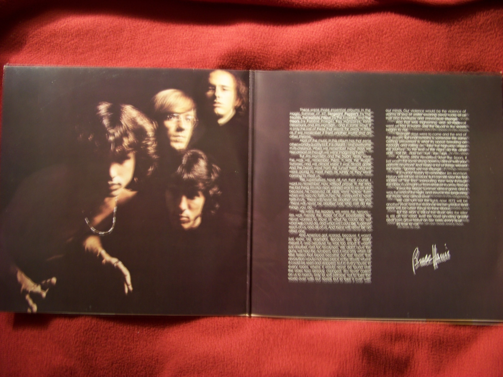 The Doors – Weird Scenes Inside the Gold Mine (Doppel-LP), Bild 3