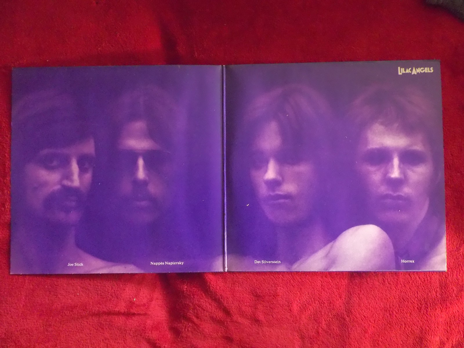 Lilac Angels – I´m not afraid to say yes · LP · Dingerland Records 0949/0211 · 1973, Bild 2