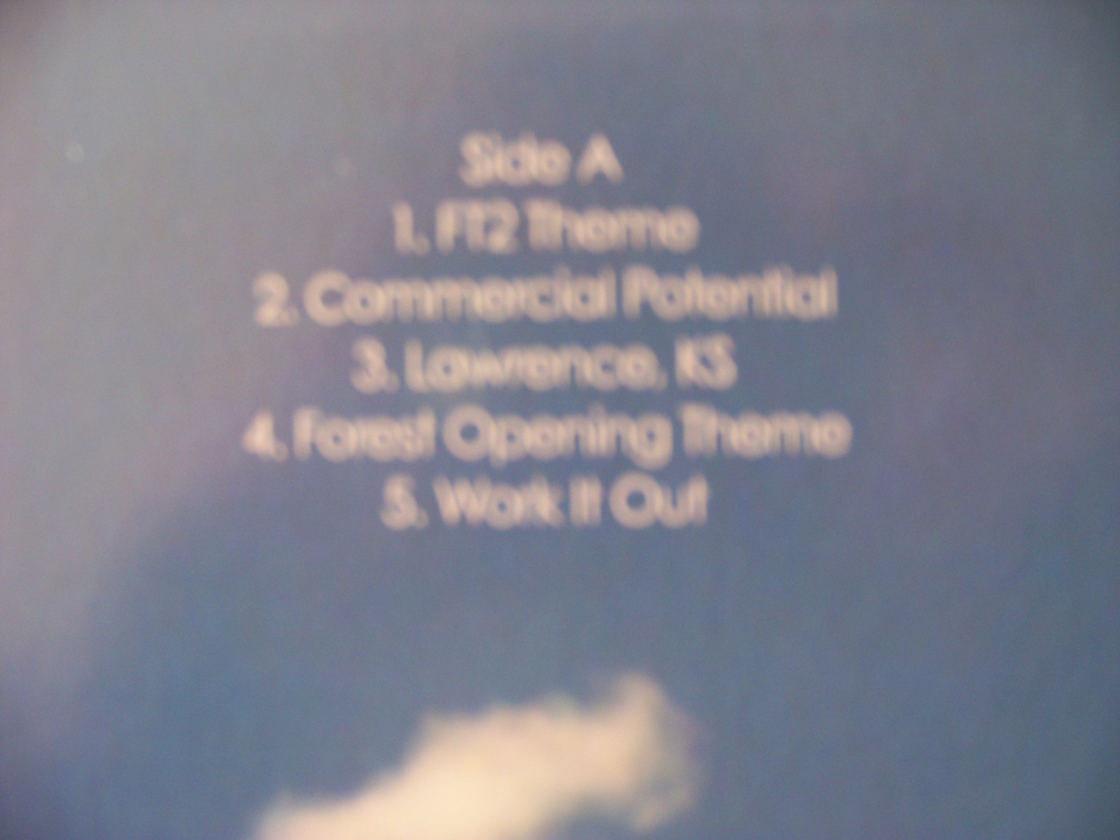 Phil Manley – Life Coach (LP, Thrill Jockey, 2011), Bild 2