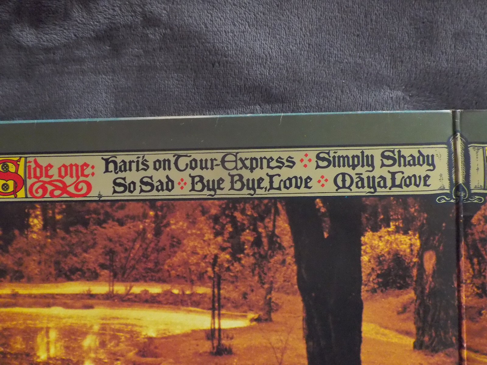 George Harrison – Dark Horse | LP, EMI Records, Deutschland 1974, Bild 4