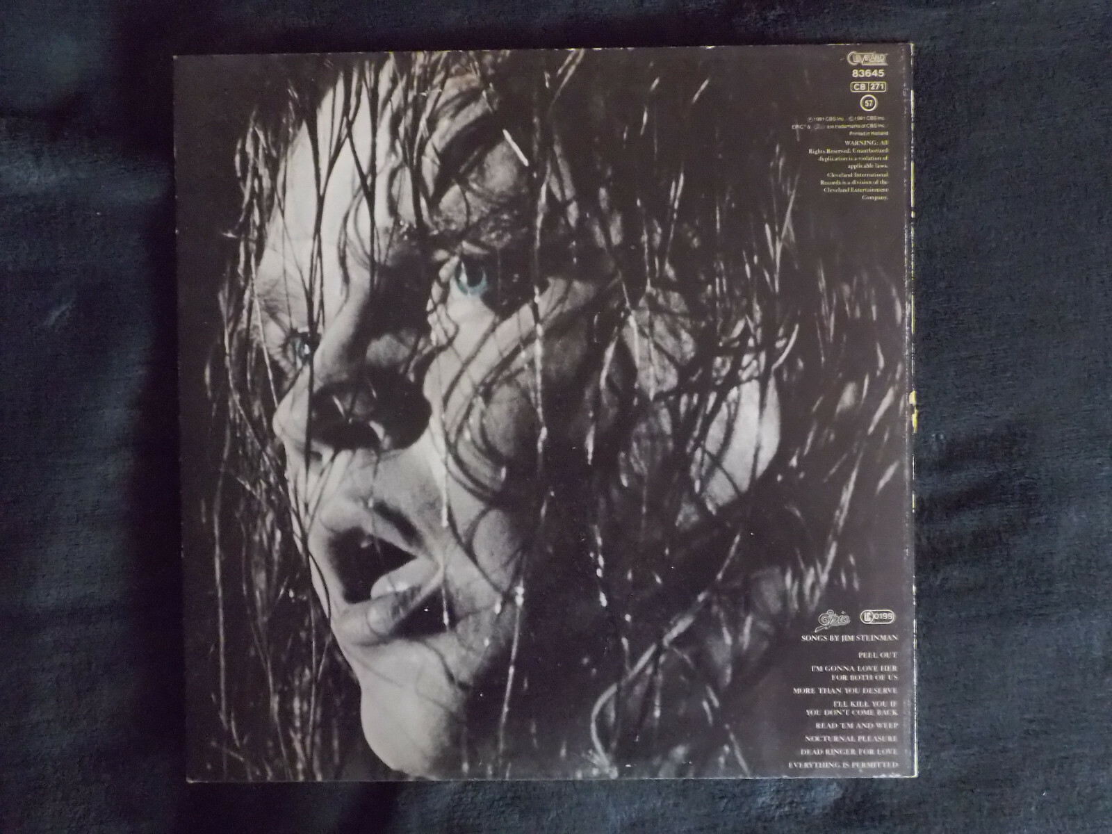 Meat Loaf – Dead Ringer, LP (Epic / Cleveland, Niederlande, 1981), Bild 3