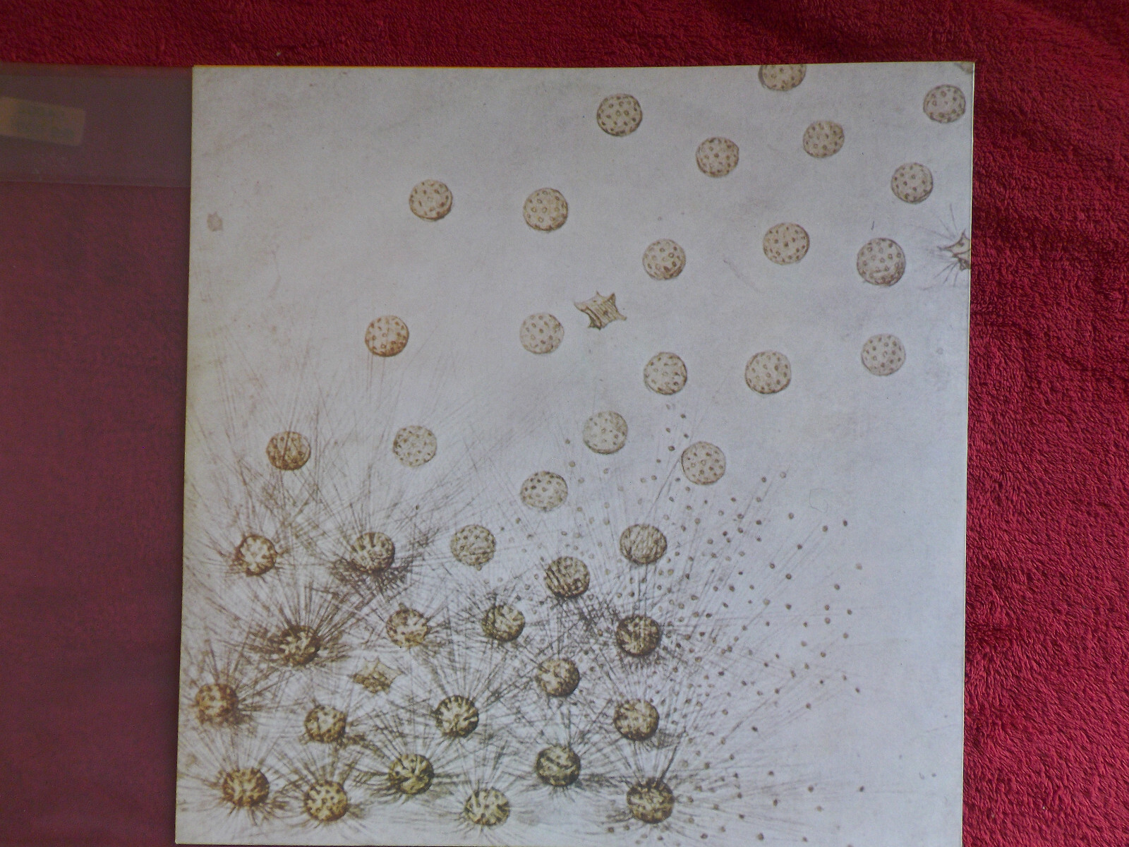 Family – Anyway... (LP, Reprise Records 54 002), Bild 4