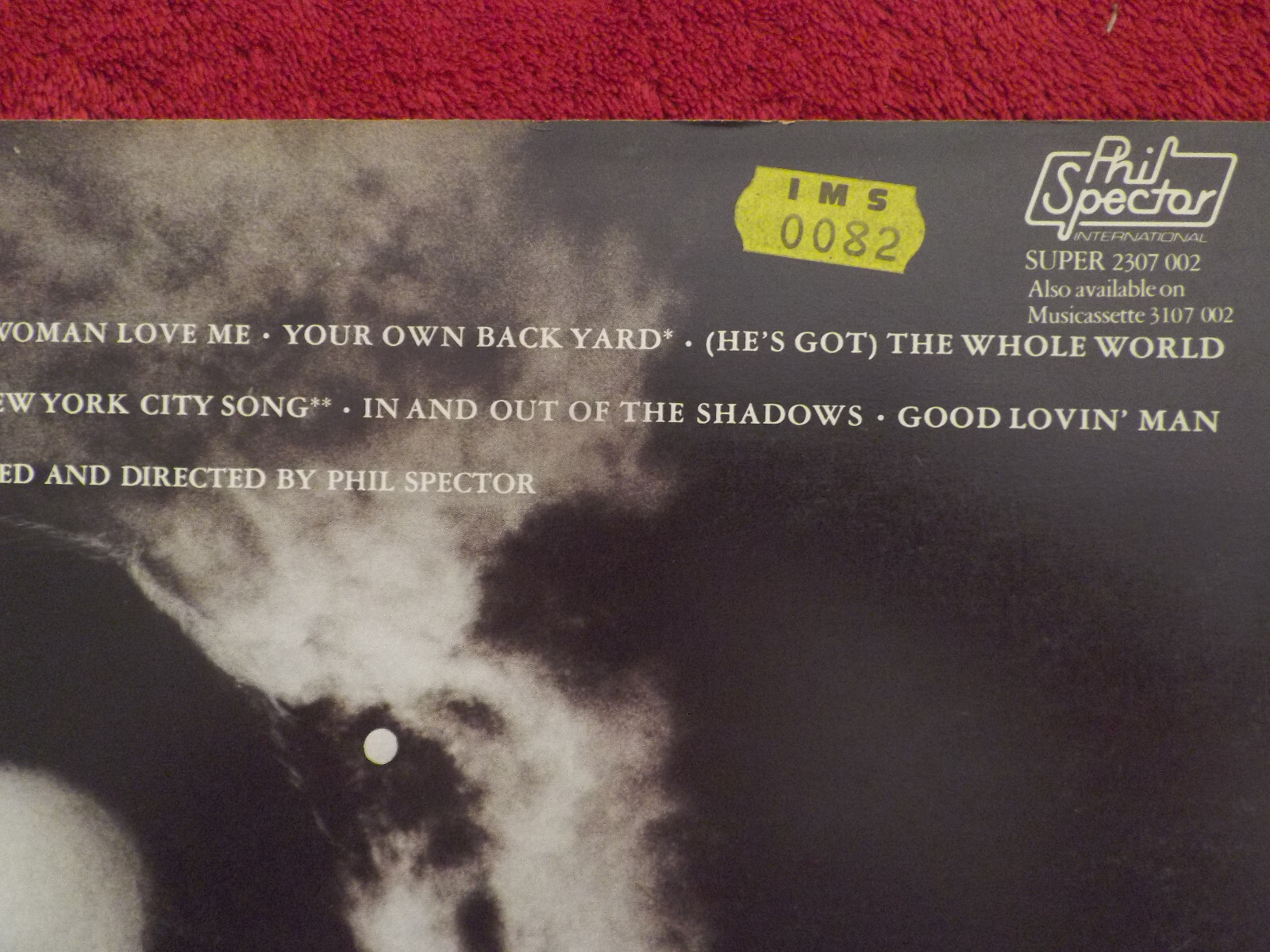 Dion – Born to be with you (LP, Phil Spector Records), Bild 4