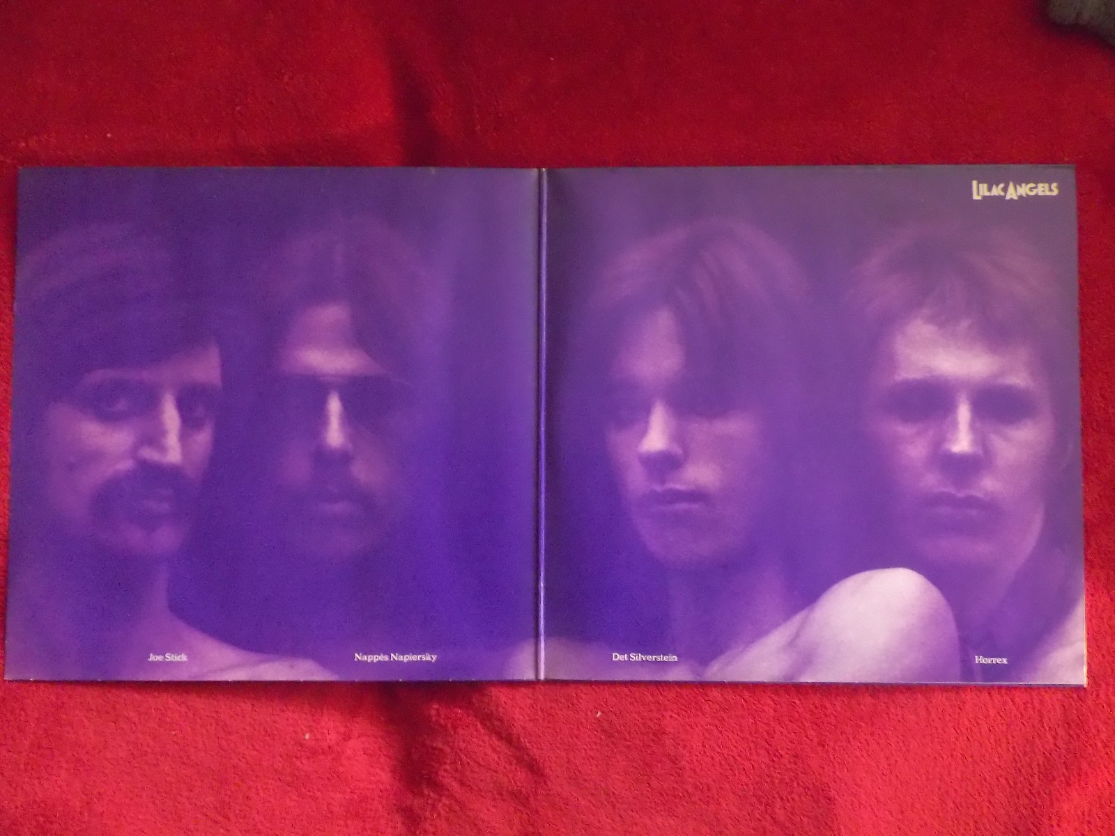 Lilac Angels – I´m not afraid to say yes · LP · Dingerland Records 0949/0211 · 1973, Bild 3