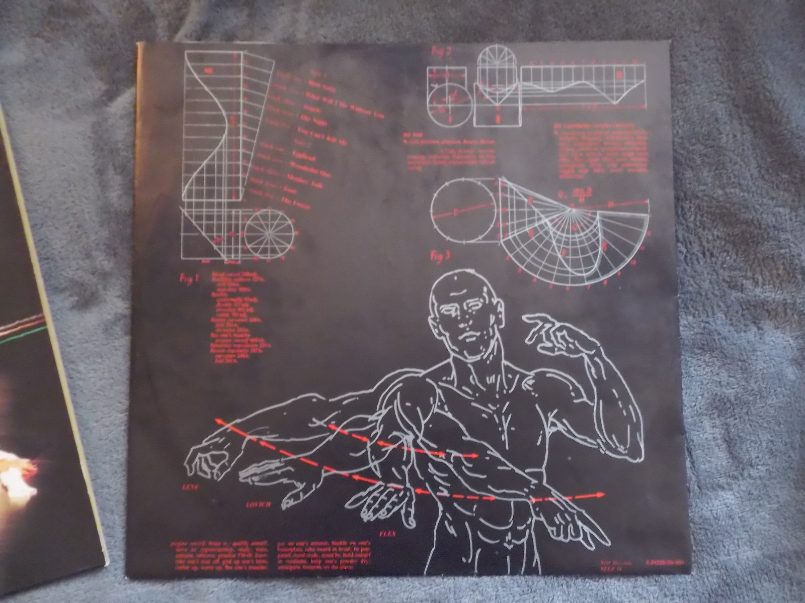 Lene Lovich – Flex | Stiff Records 6.24 228 | LP, Deutschland 1979, Bild 3