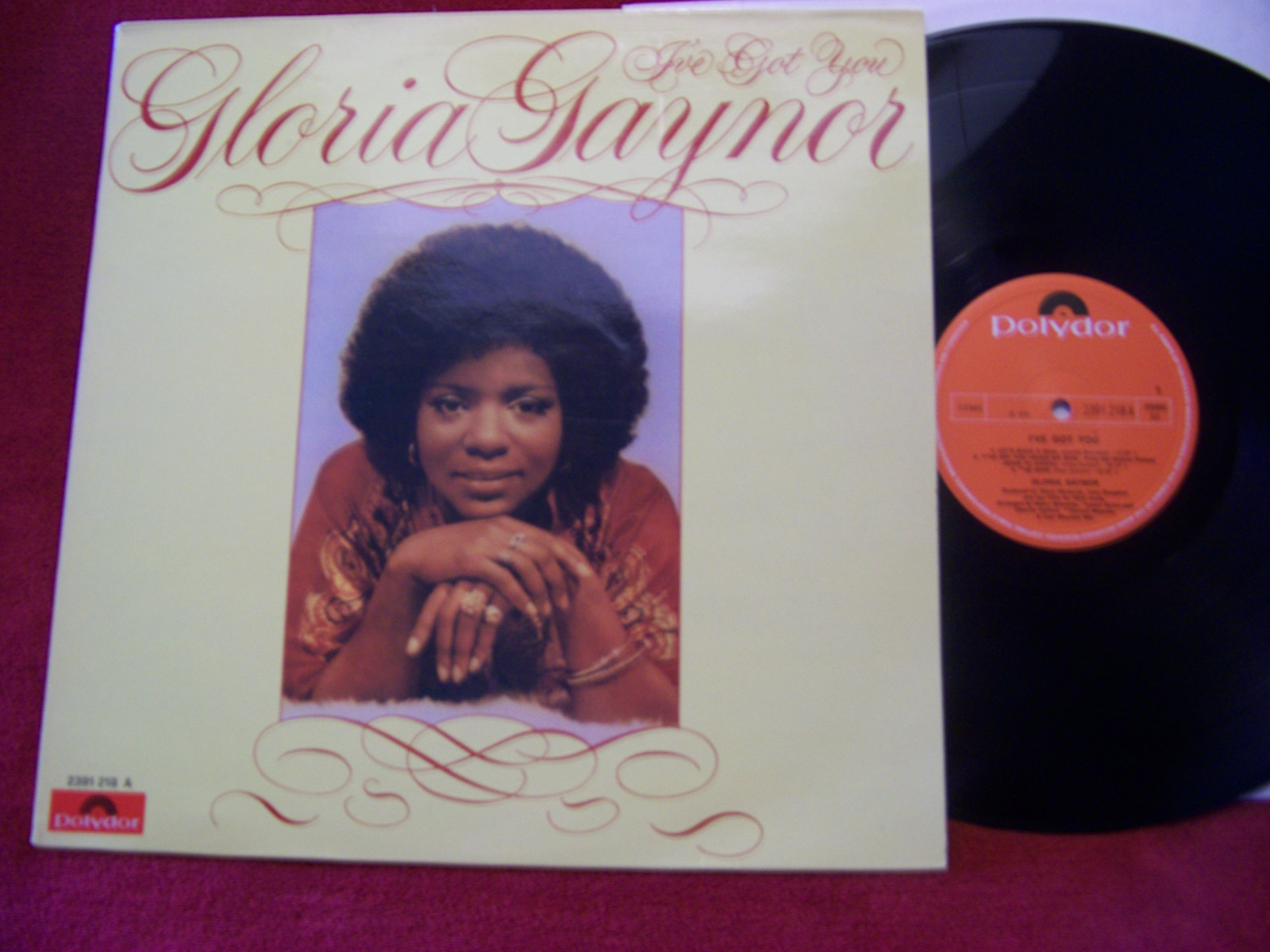 Gloria Gaynor – I´ve got you | Polydor LP