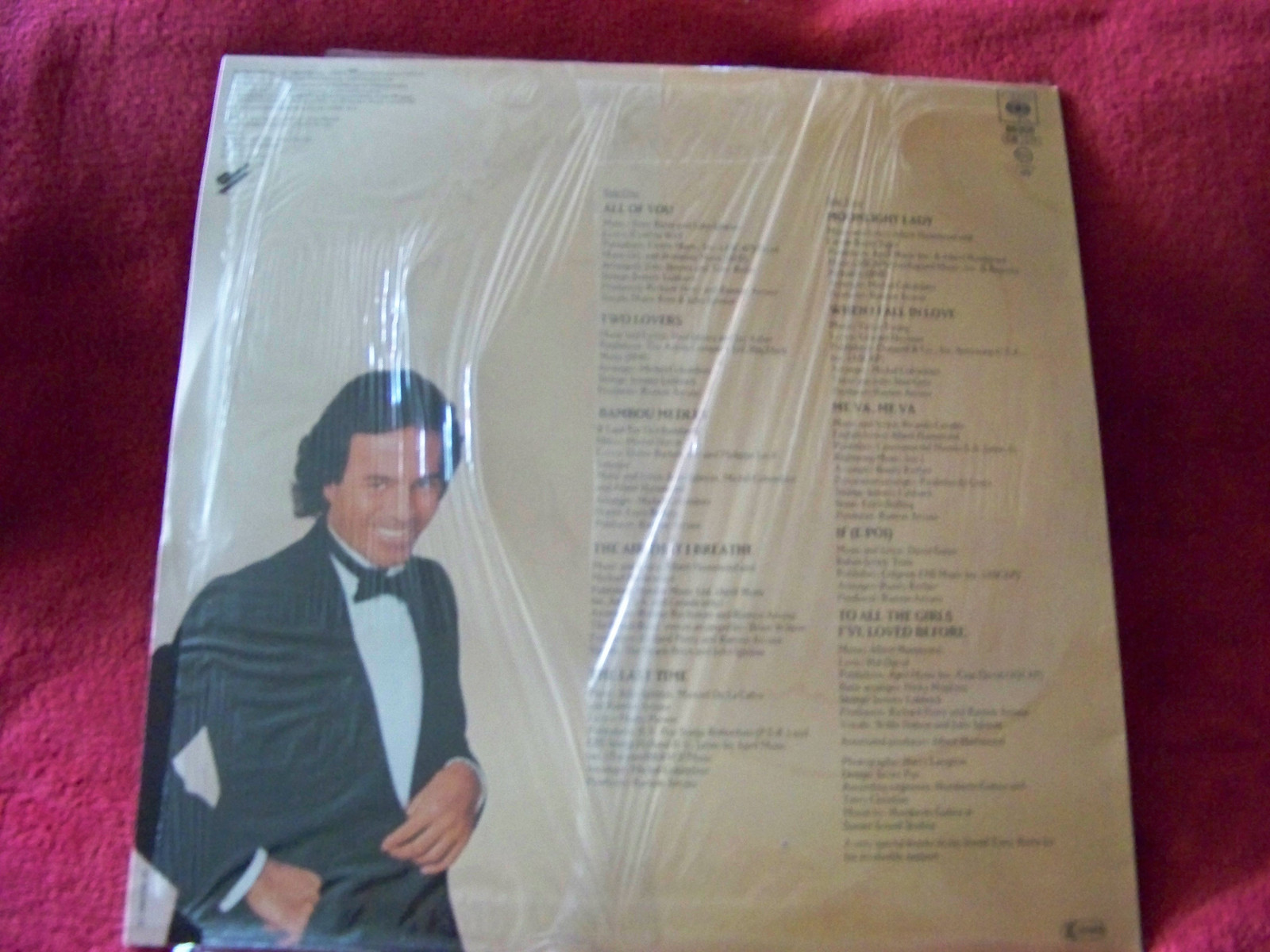 Julio Iglesias – 1100 Bel Air Place (LP, CBS Records, 1984), Bild 3