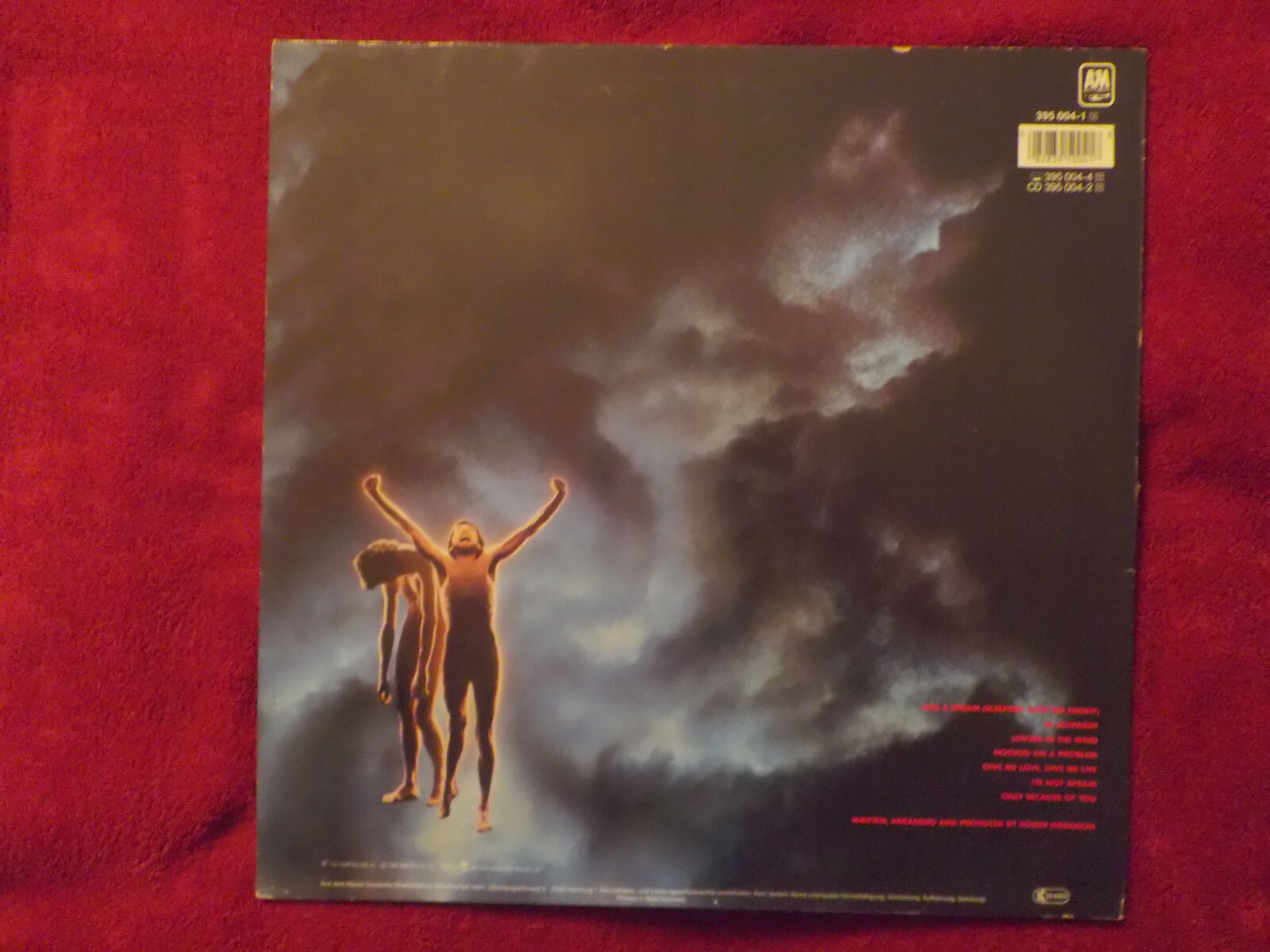 Roger Hodgson – In the Eye of the Storm (LP, 1984), Bild 2