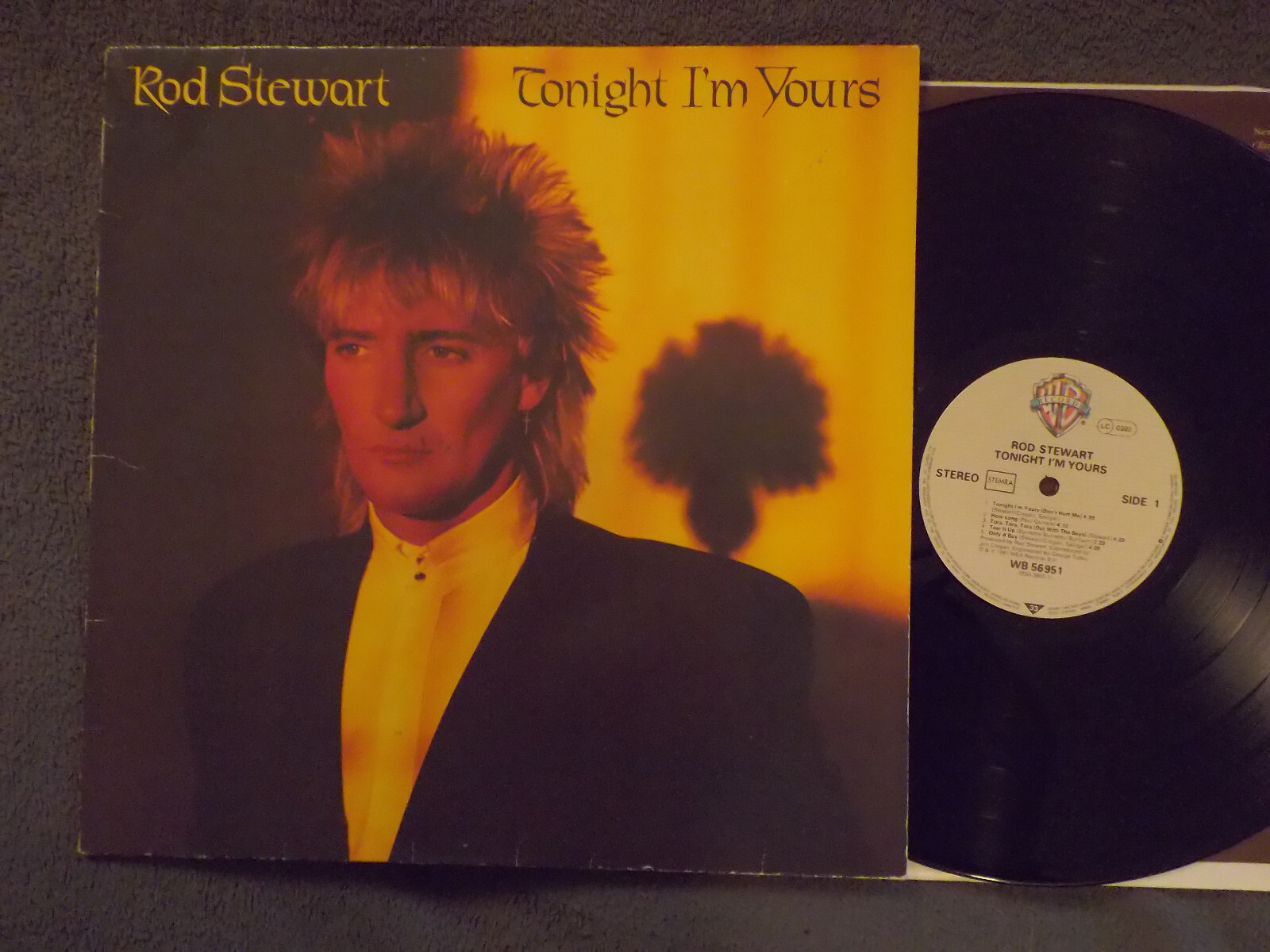 Rod Stewart – Tonight I’m Yours | Warner Bros. Records, LP, 1981